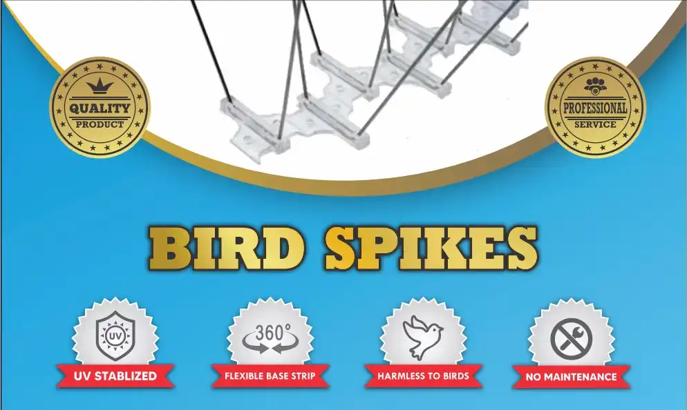 Stainless Steel Bird Spike